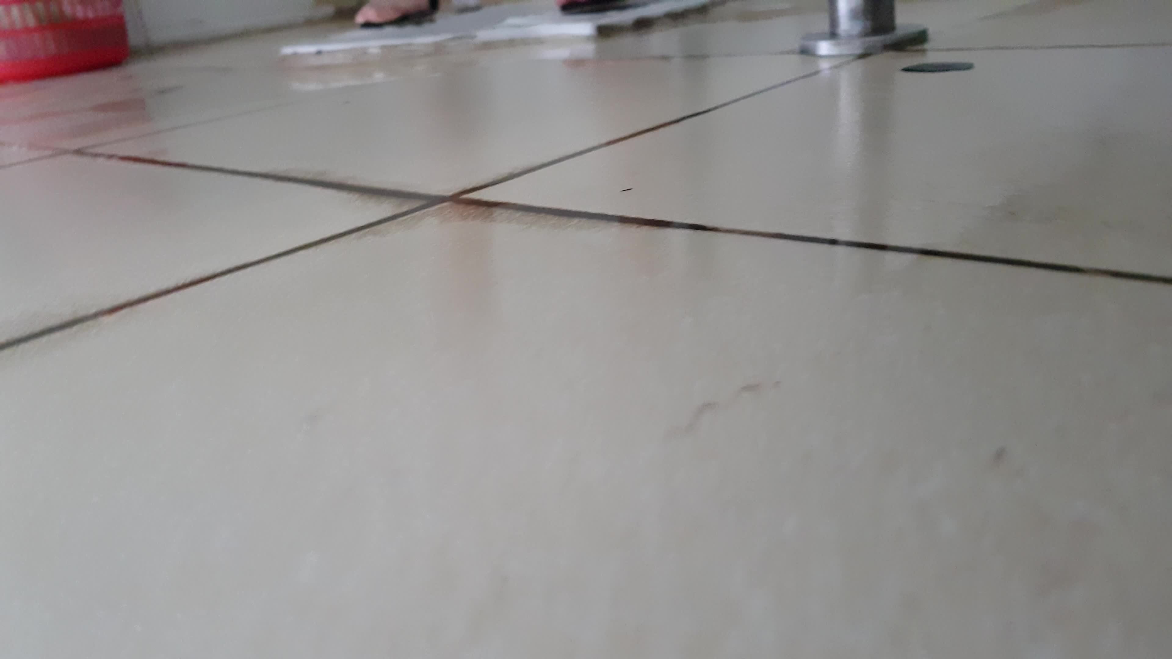 video.anh.moe